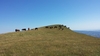 Vetta del Monte Alto, con i cavalli al pascolo